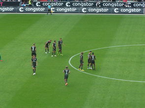 开云体育平台APP-英格兰险胜智利，博格巴打破历史纪录