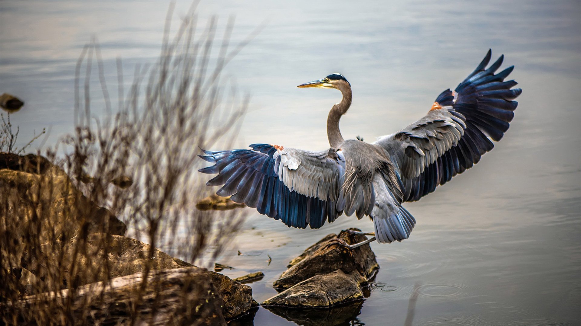 天使与魔鬼的加时赛,莫德里奇如何用最后十五分钟完成王者救赎