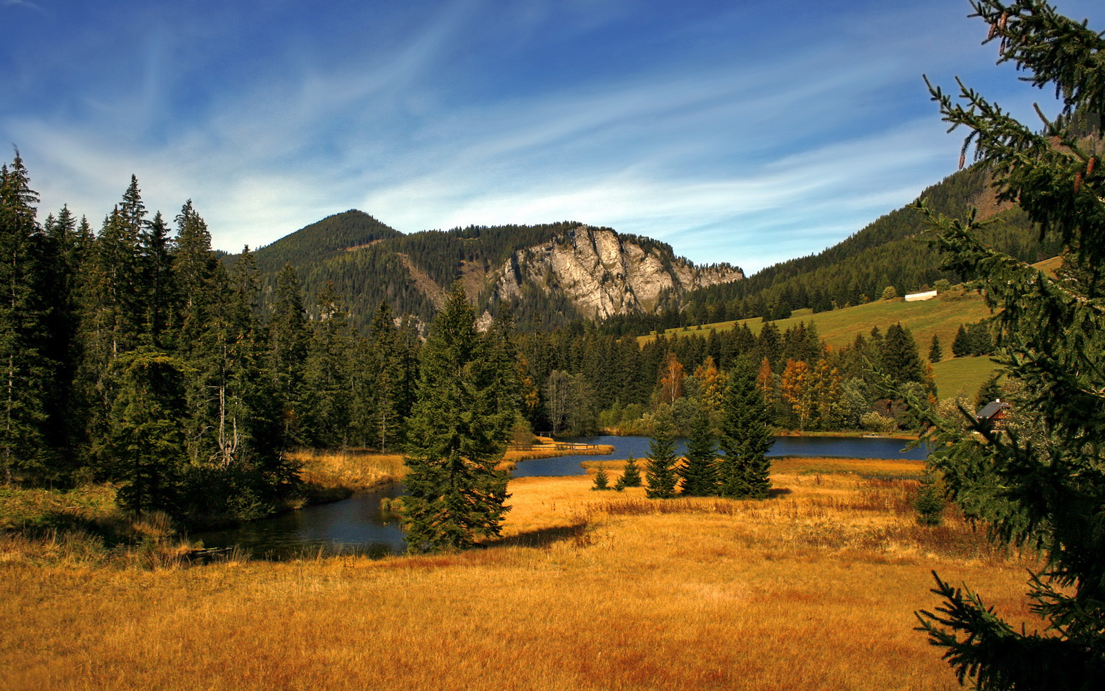东决关键战之夜，当弗拉霍维奇化身禁区神迹，进攻端已成无解方程式
